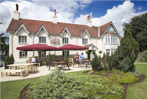 The Cedar Tree in Mid Glamorgan